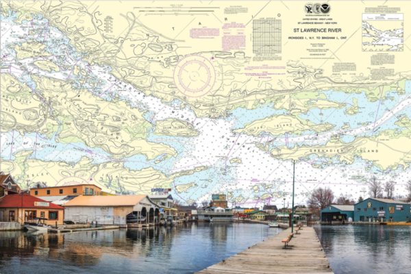 OTC-19 (20×30) Photo Chart