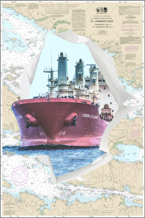 OTC-32 (24×36) Photo Chart