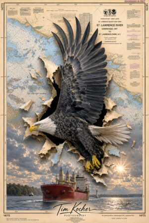TTC-EAGLE-POSTER